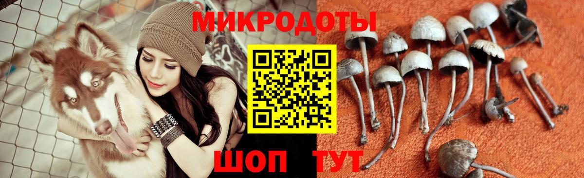 Реж  Галлюциногенные грибы прущие грибы  Галлюциногенные грибы MAGIC MUSHROOMS  Вход с VPN 